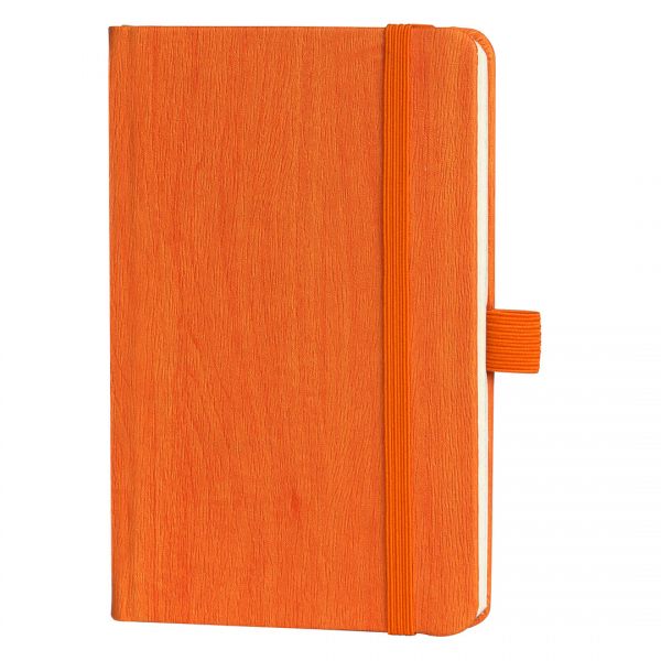 reklamni-materijal-notesi-pino-mini-boja-3423360_001